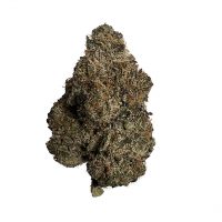 weed delivery in ottawa white death strain