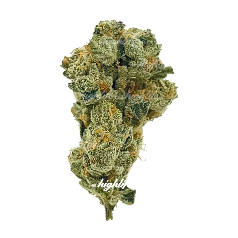 bruce banner weed strain