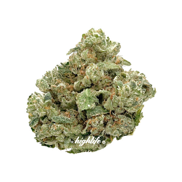 find master kush weed in ottawa - same day delivery