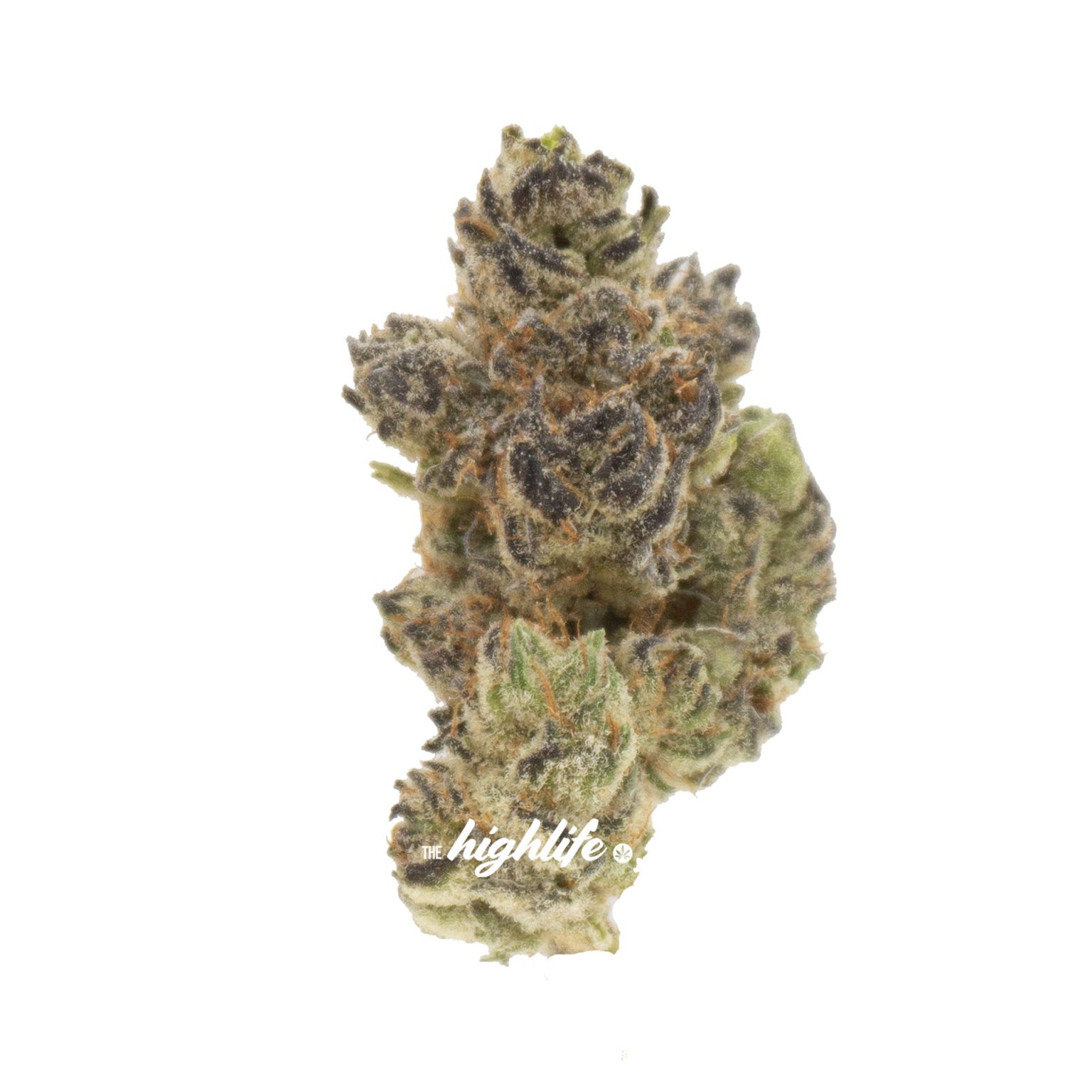 buy weed in ottawa - same day delivery purple drank breath strain