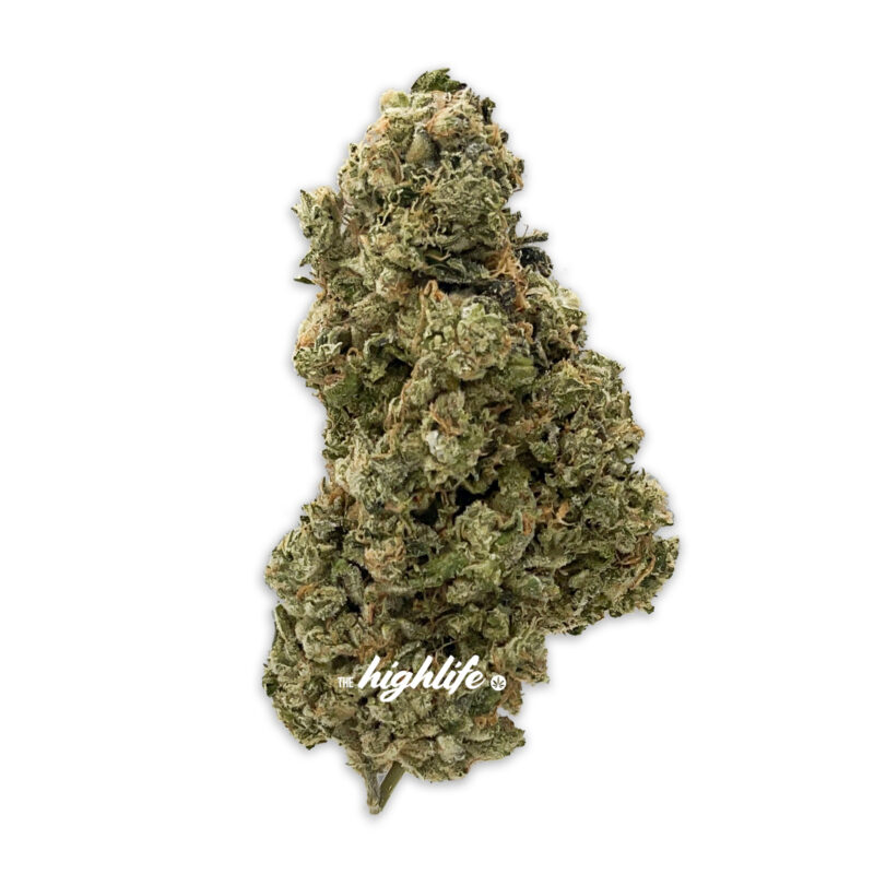 cannabis dispensary in Ottawa - cement shoes -weed -strain