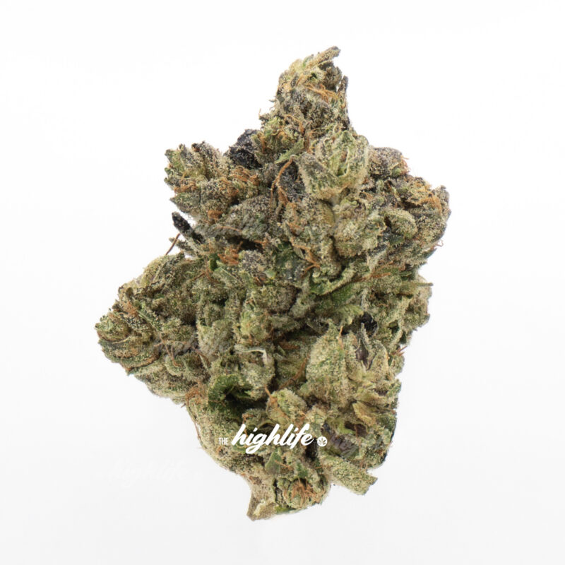 find weed dispensary in ottawa - legend pink strain