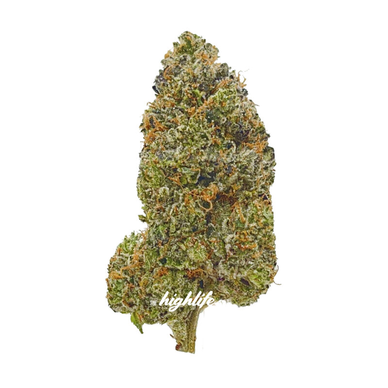 Weed Delivery Ottawa - Kandy Kush Strain