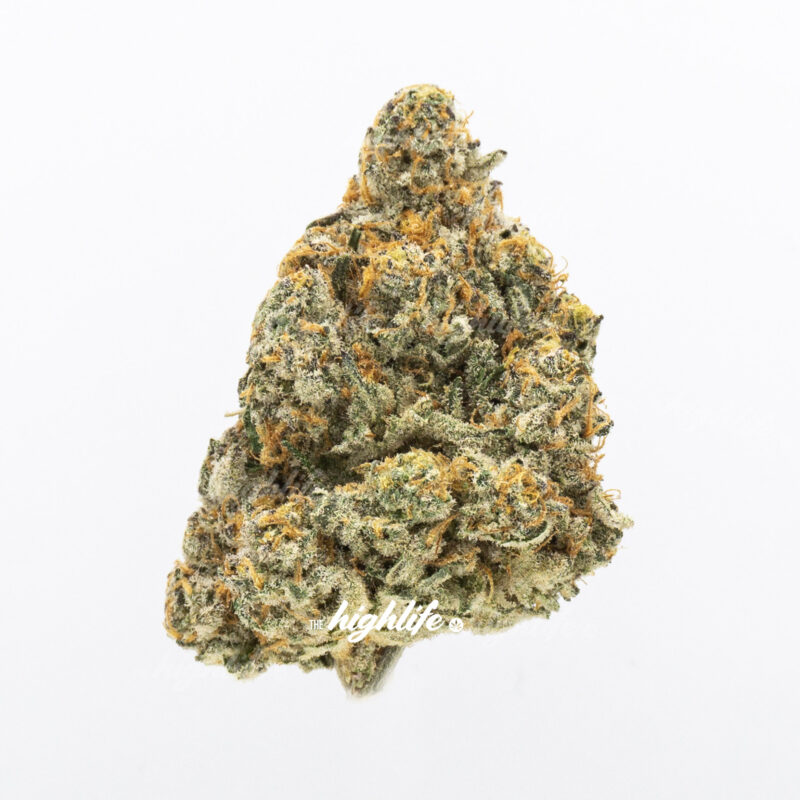 cannabis dispensary in Ottawa - capitulator strain