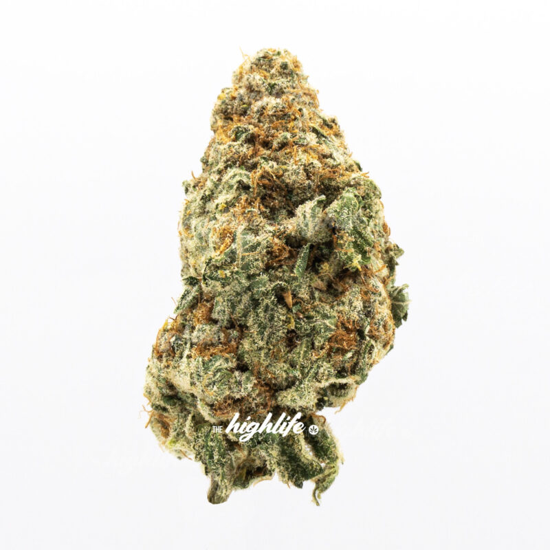 weed delivery in ottawa - buy platinum purple cookies cannabis strain for delivery in ottawa