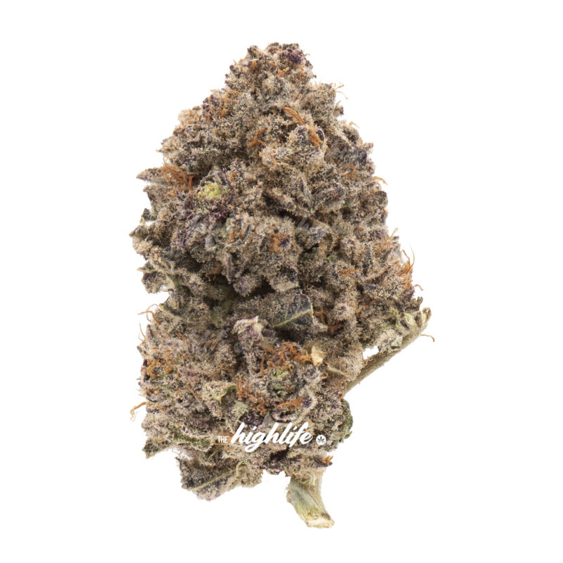 gelato cannabis strain for delivery in Ottawa