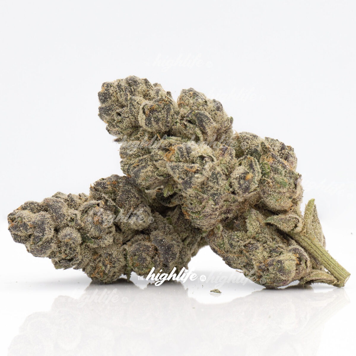 purple thunder marijuana cannabis strain