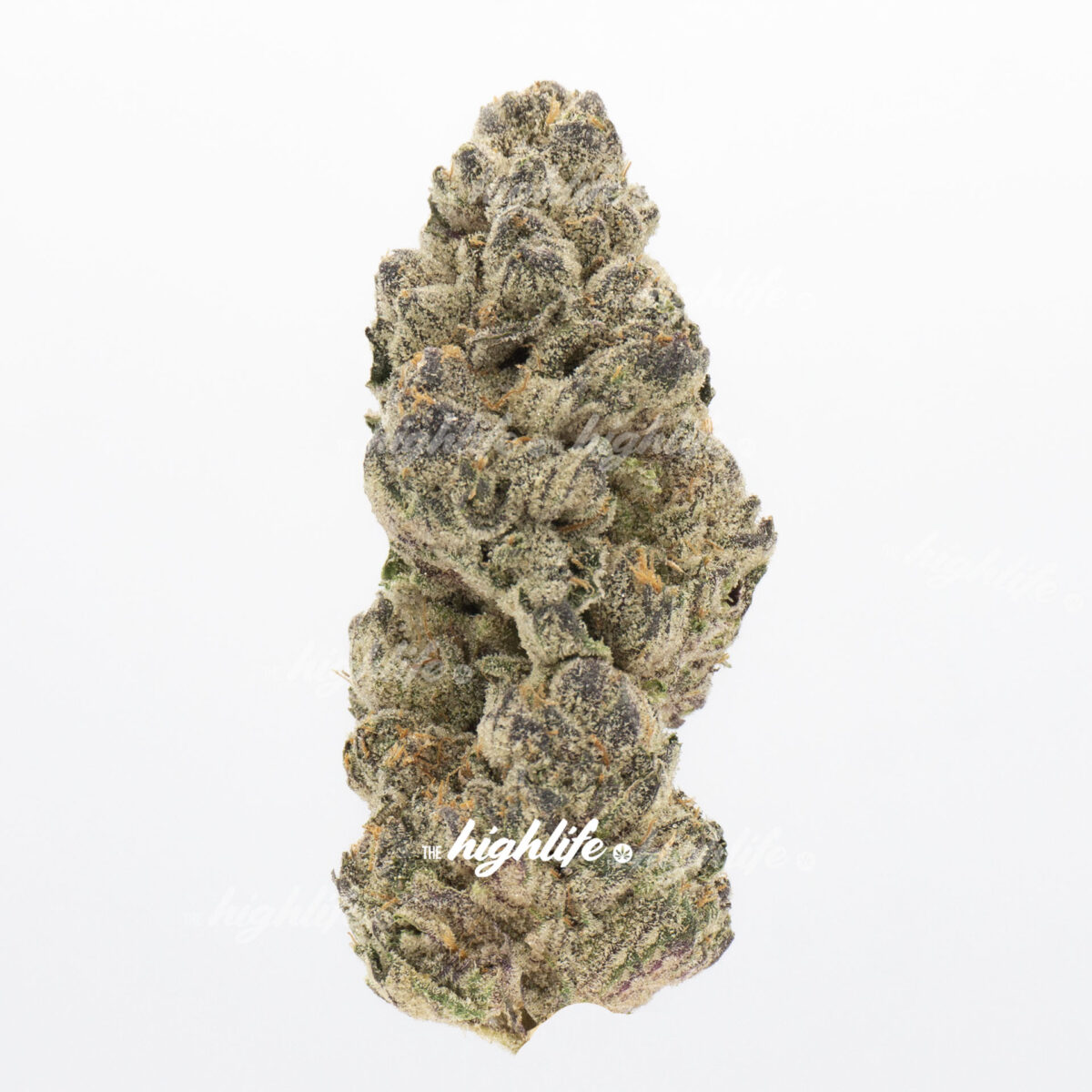 purple thunder marijuana weed strain