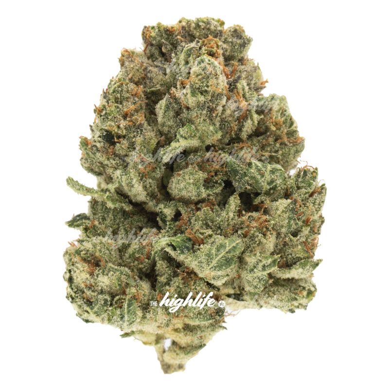 Buy purple runtz marijuana weed in ottawa