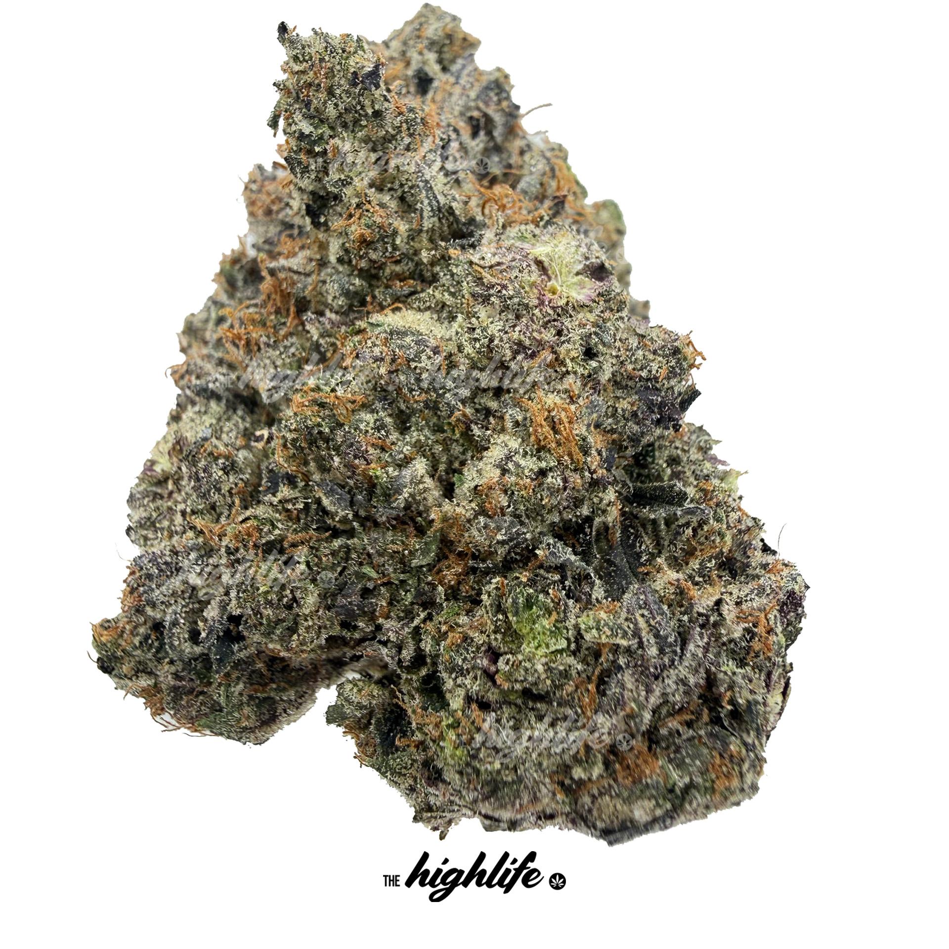 BLACK GAS (INDICA)