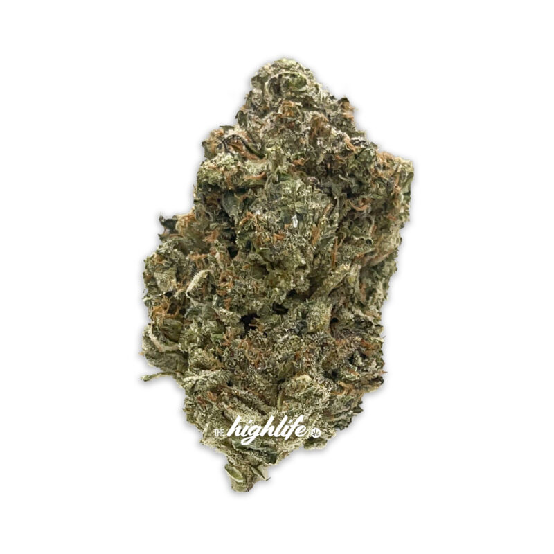 apple fritter strain