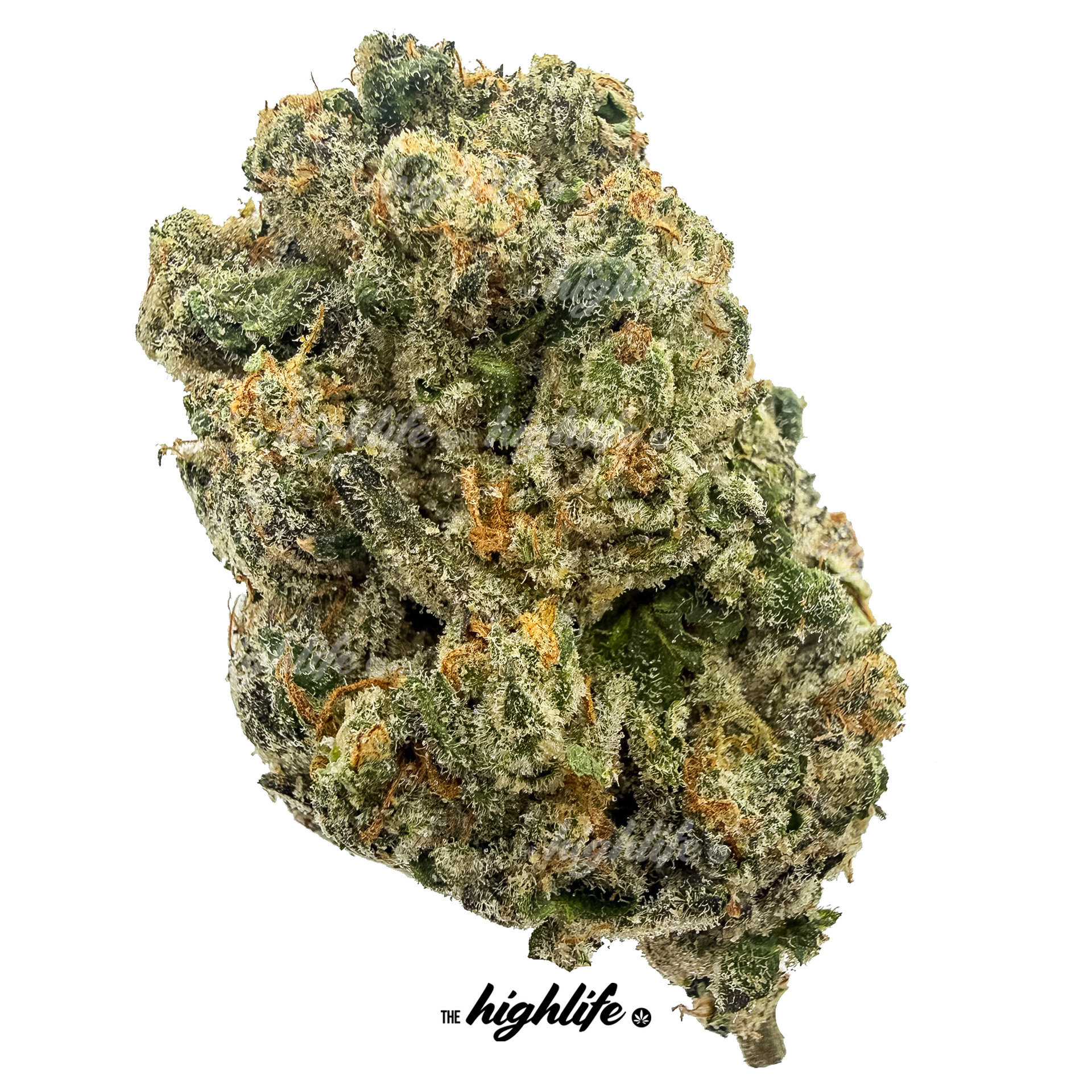 STICKY RICKY (INDICA)