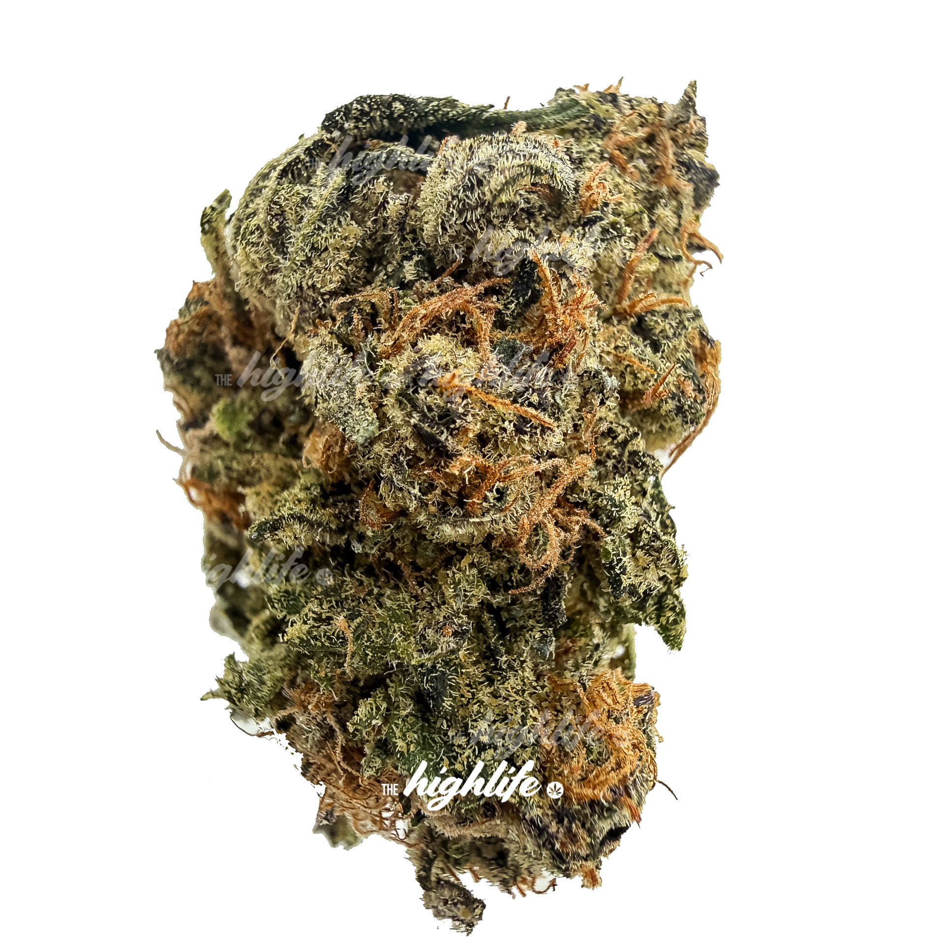 SPRITZER-(HYBRID) $70 OZ SPECIAL! **SMALLS**