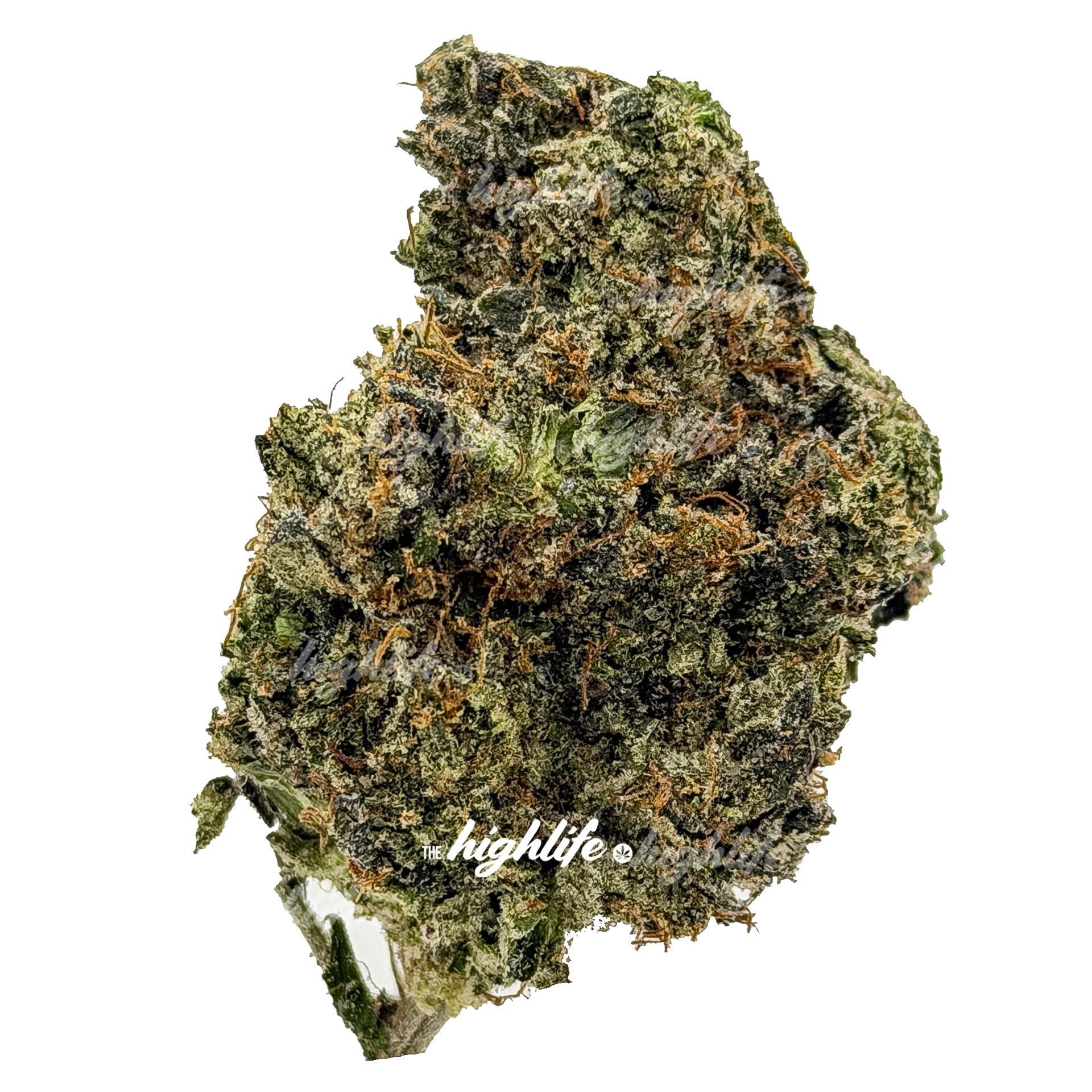 CHEM FUEGO (PREMIUM INDICA)