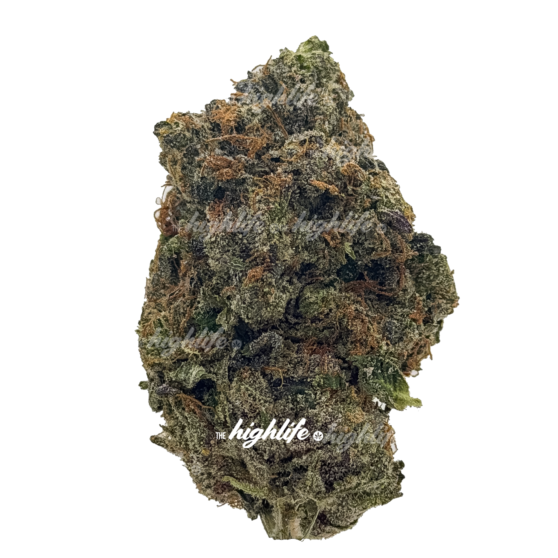 CHOPPA SMOKE INDICA