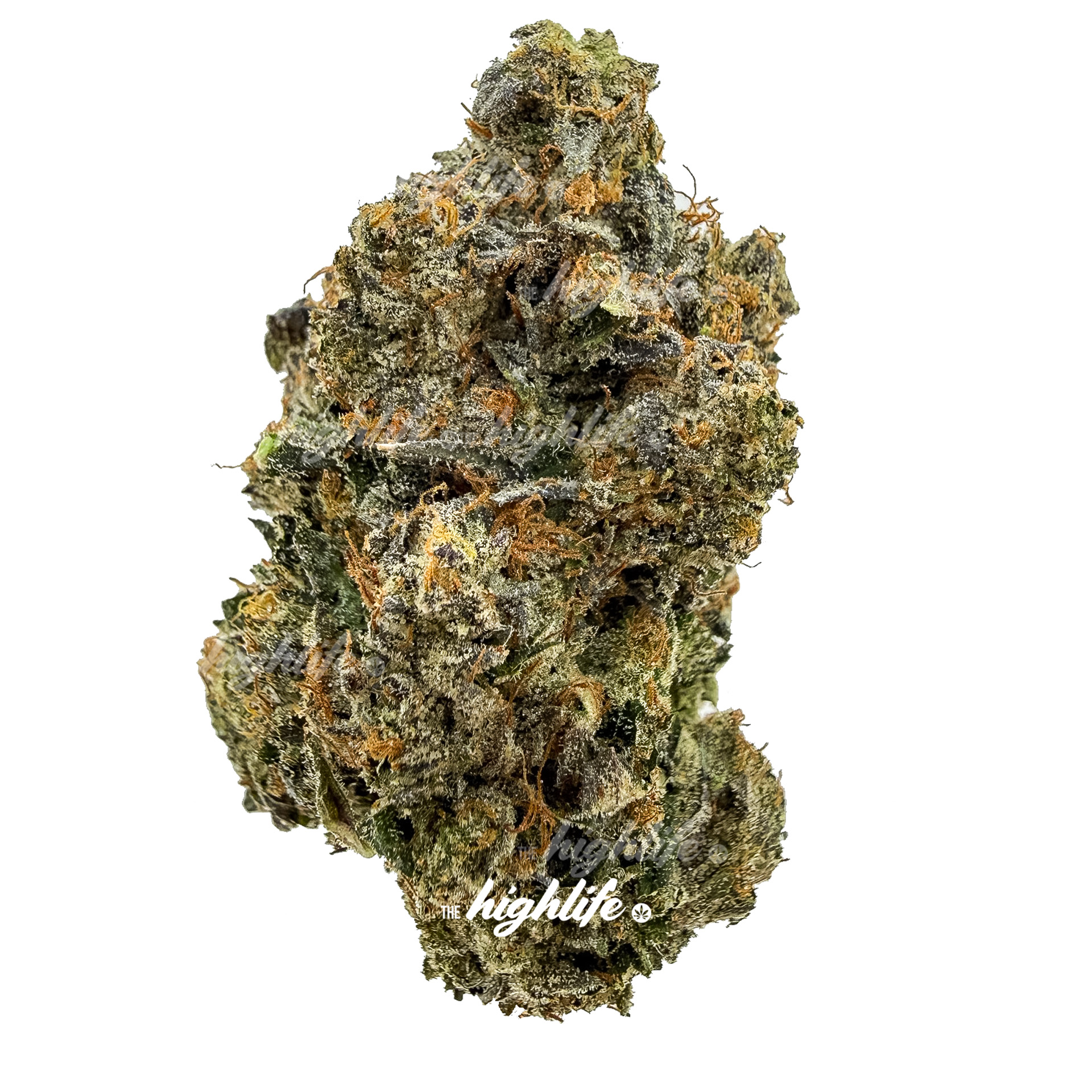 GELATO #33 PREMIUM INDICA