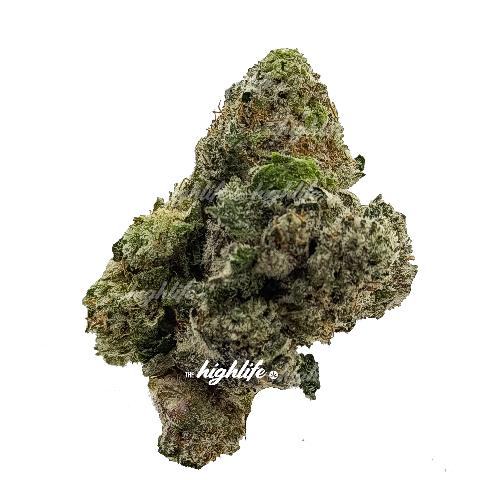 Big Dawg Gas $100 OZ INDICA SPECIAL (PROMO — BUY AN OUNCE, GET 7G FREE)