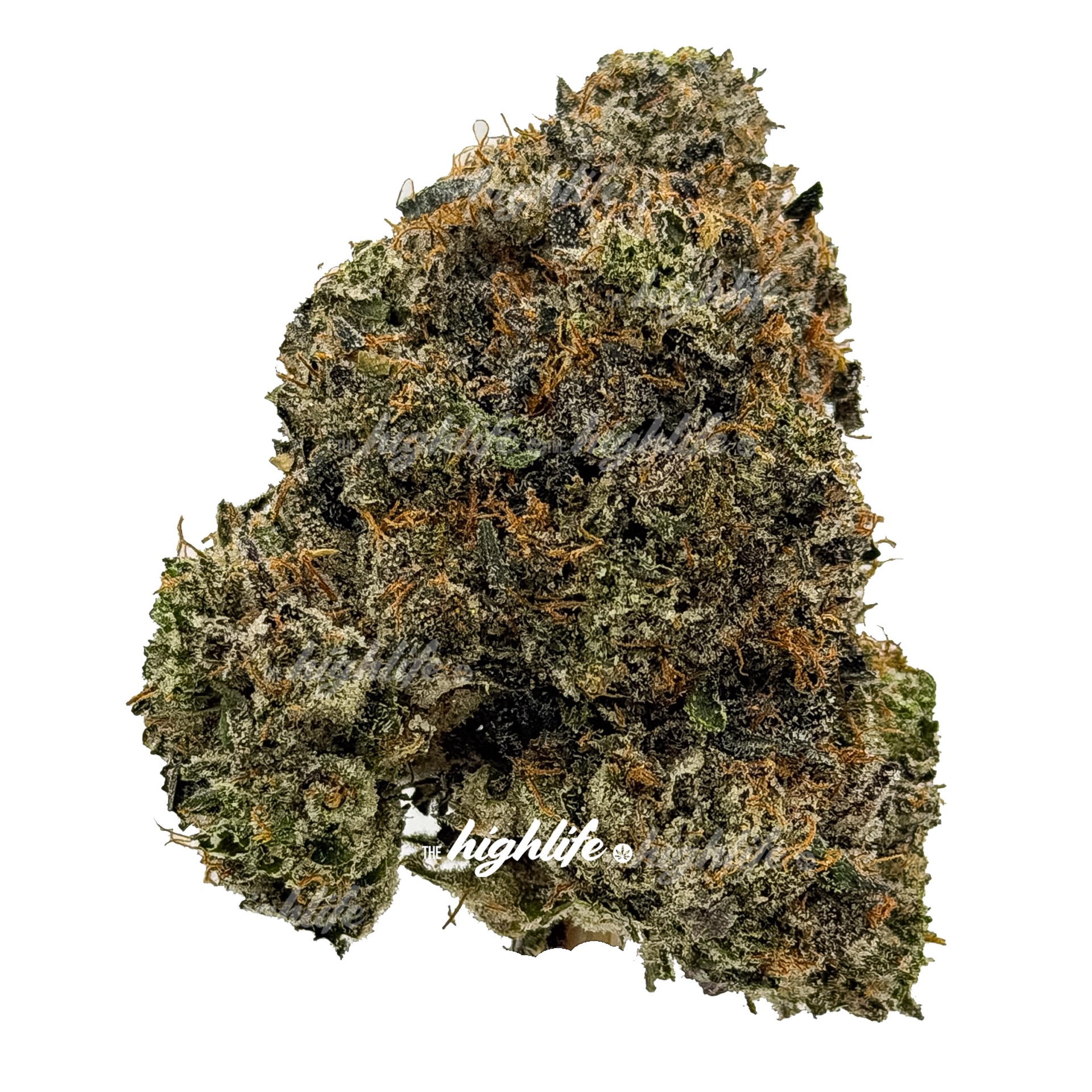 BLACK SMOKE PREMIUM INDICA