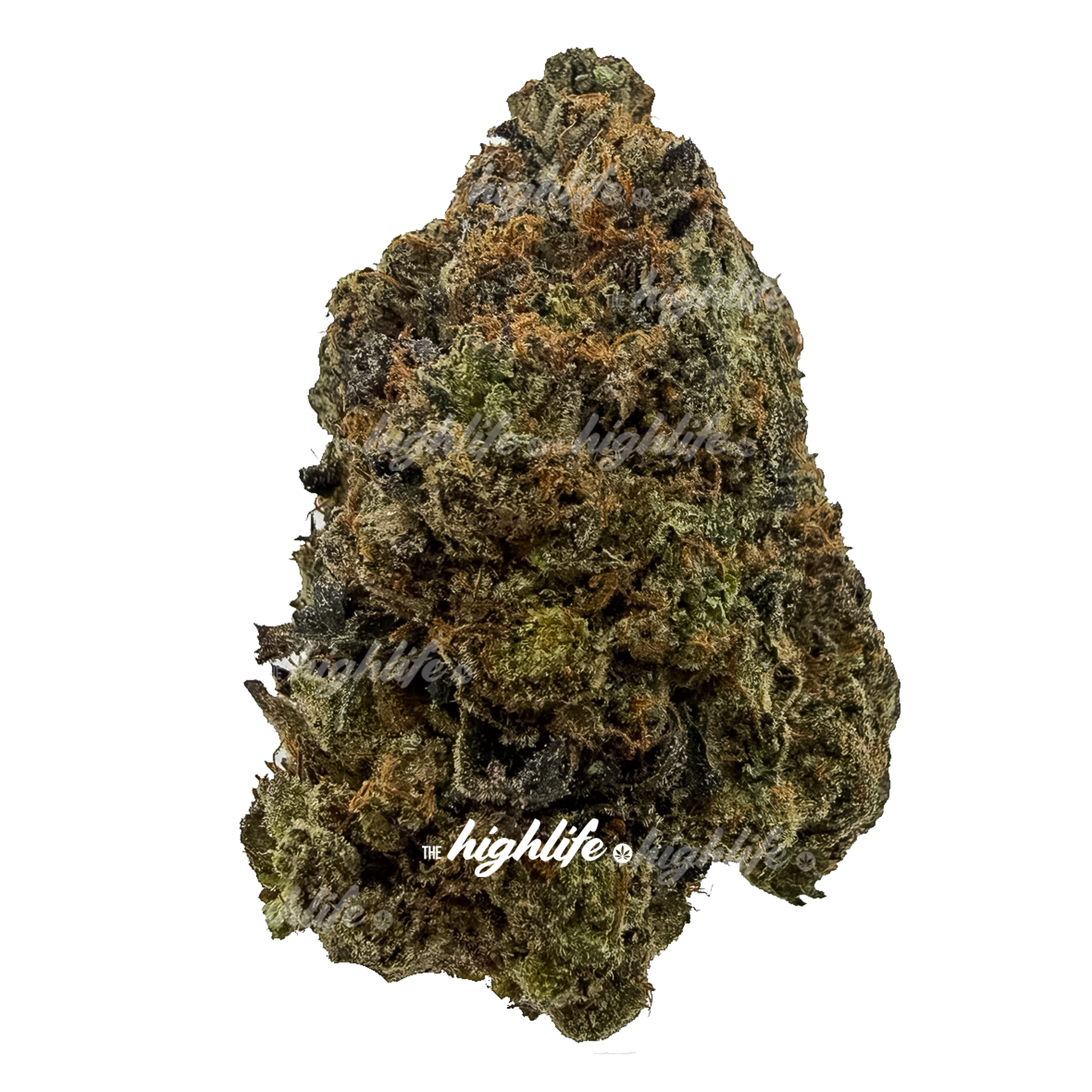 BRUCE BANNER PREMIUM INDICA