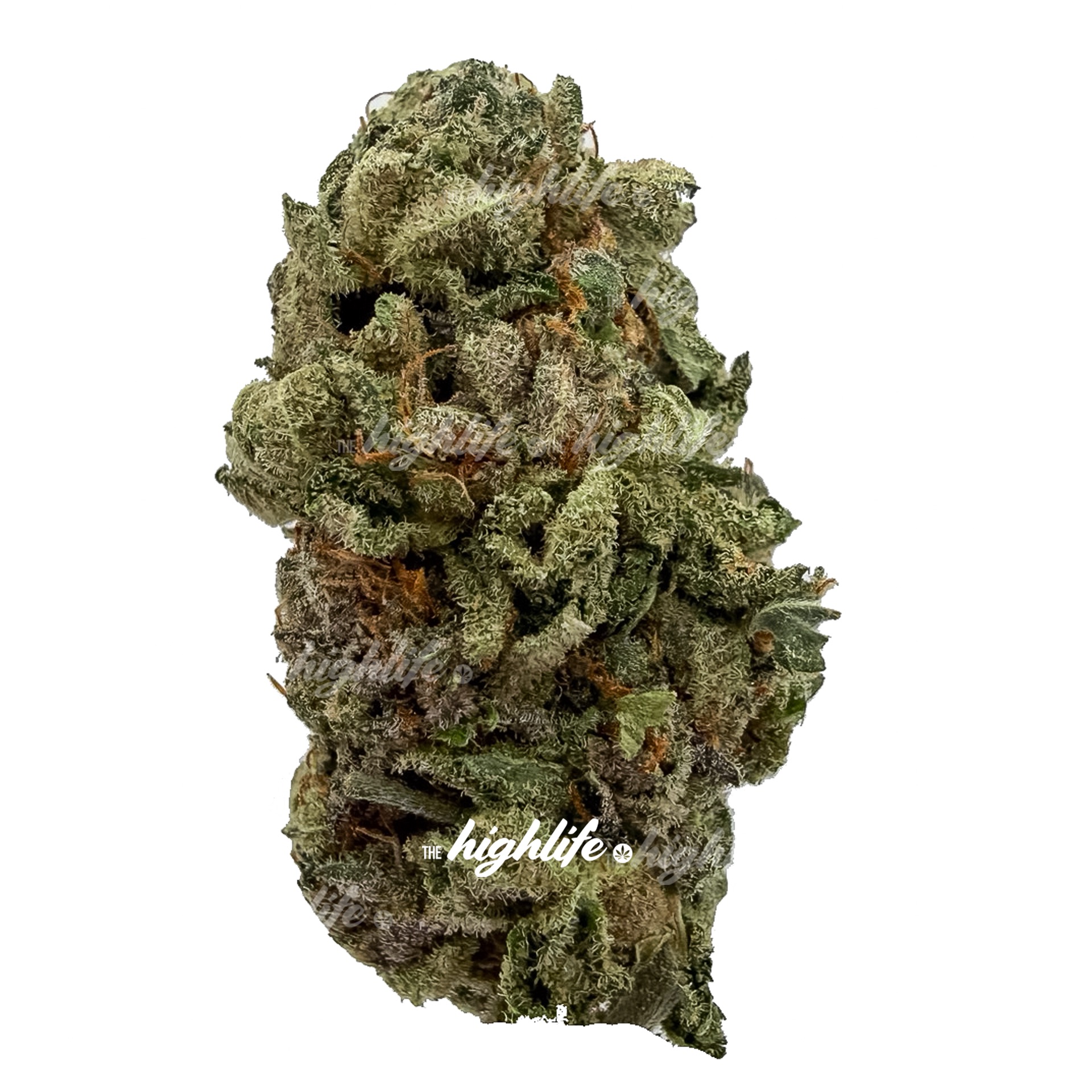 FRUIT BEER GELATO 70 OZ INDICA SPECIAL