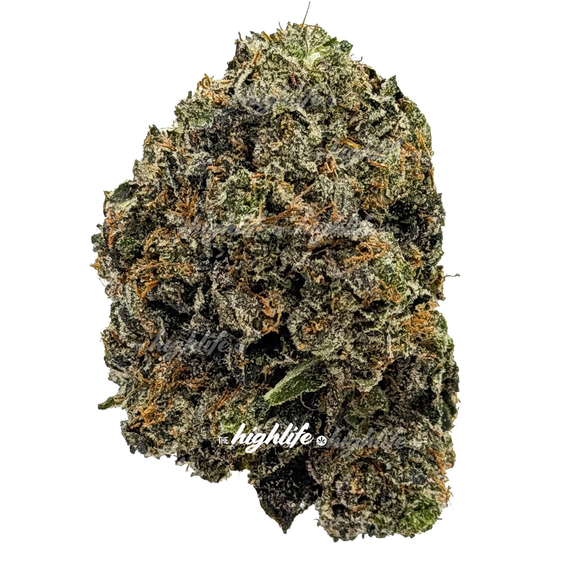 GASOLINE GOLD PREMIUM INDICA