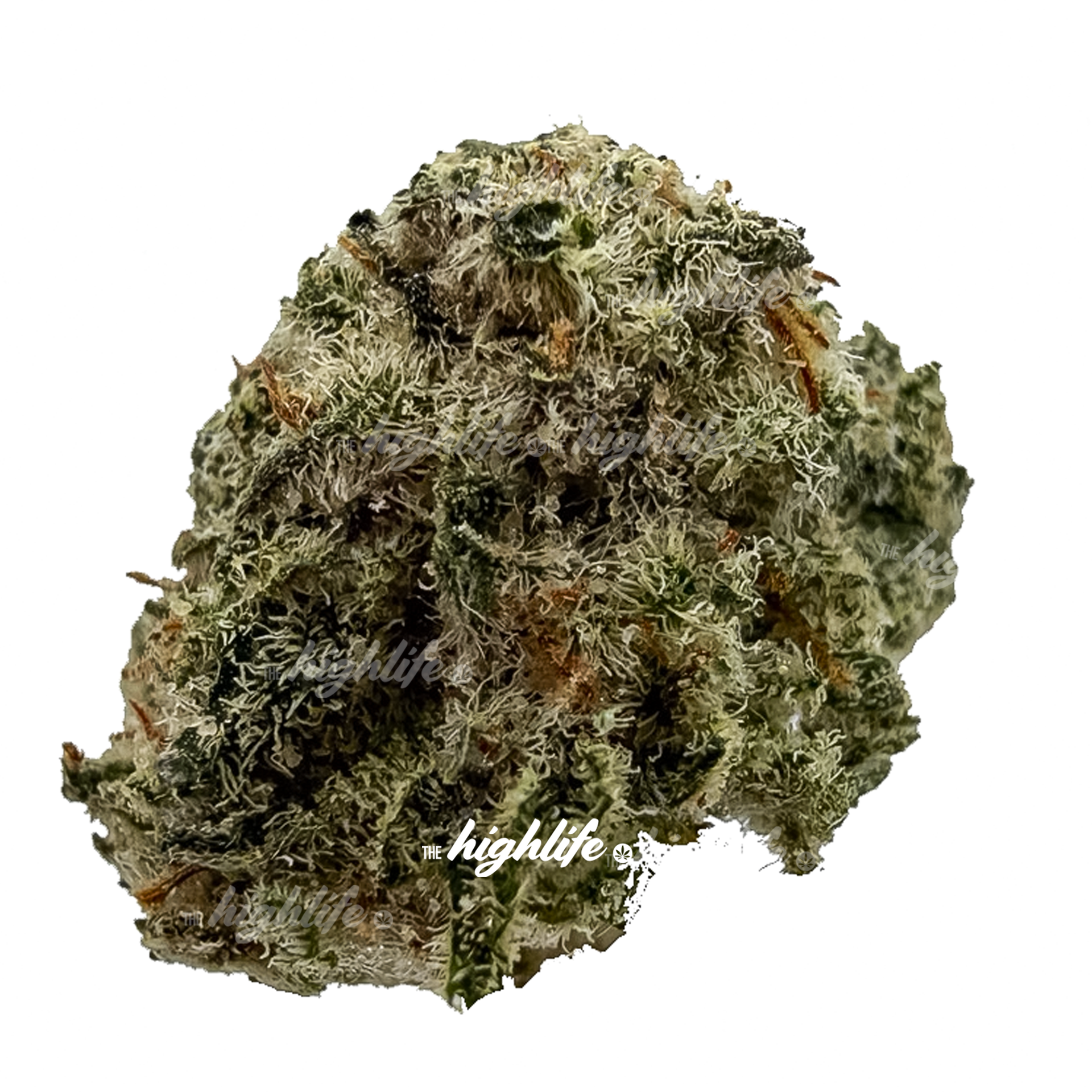 GELATO MINTS 80 OZ INDICA SPECIAL