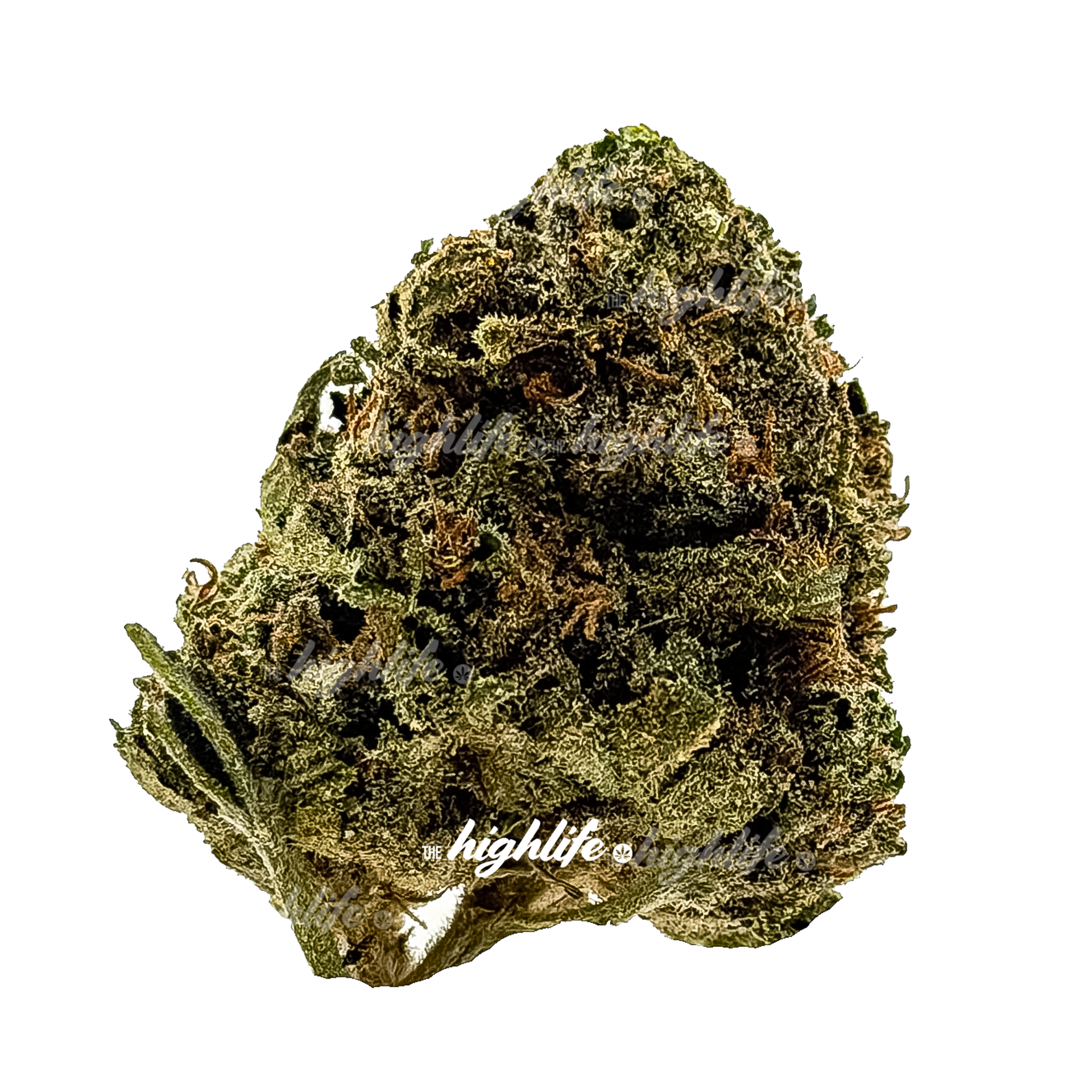 EL CHAPO $100 OZ HYBRID SPECIAL (PROMO — BUY AN OUNCE, GET 7G FREE)