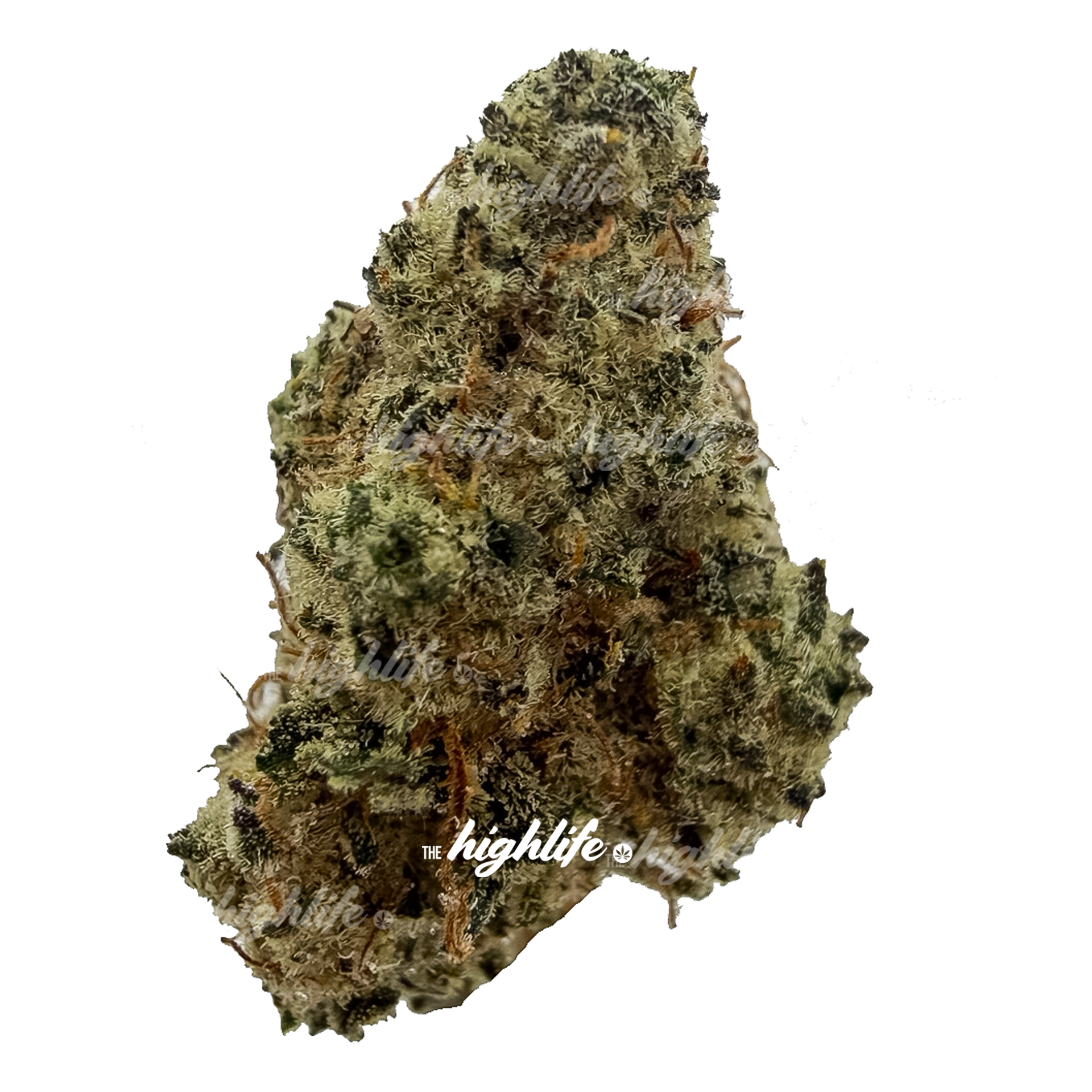 SMOOTH TALKER 70 OZ INDICA SPECIAL