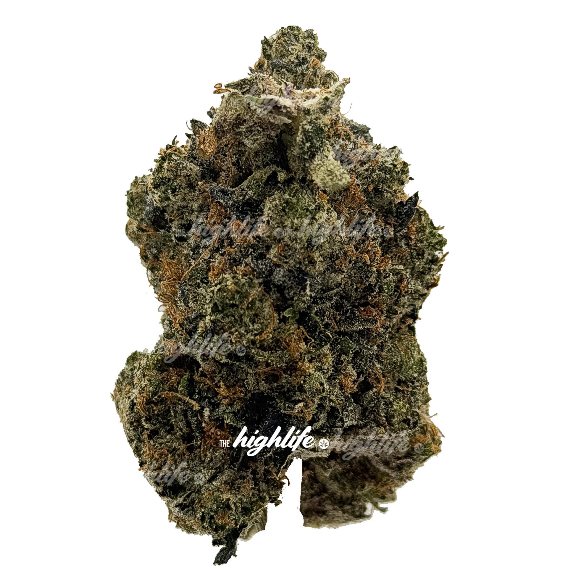 KRONOCAINE PREMIUM INDICA