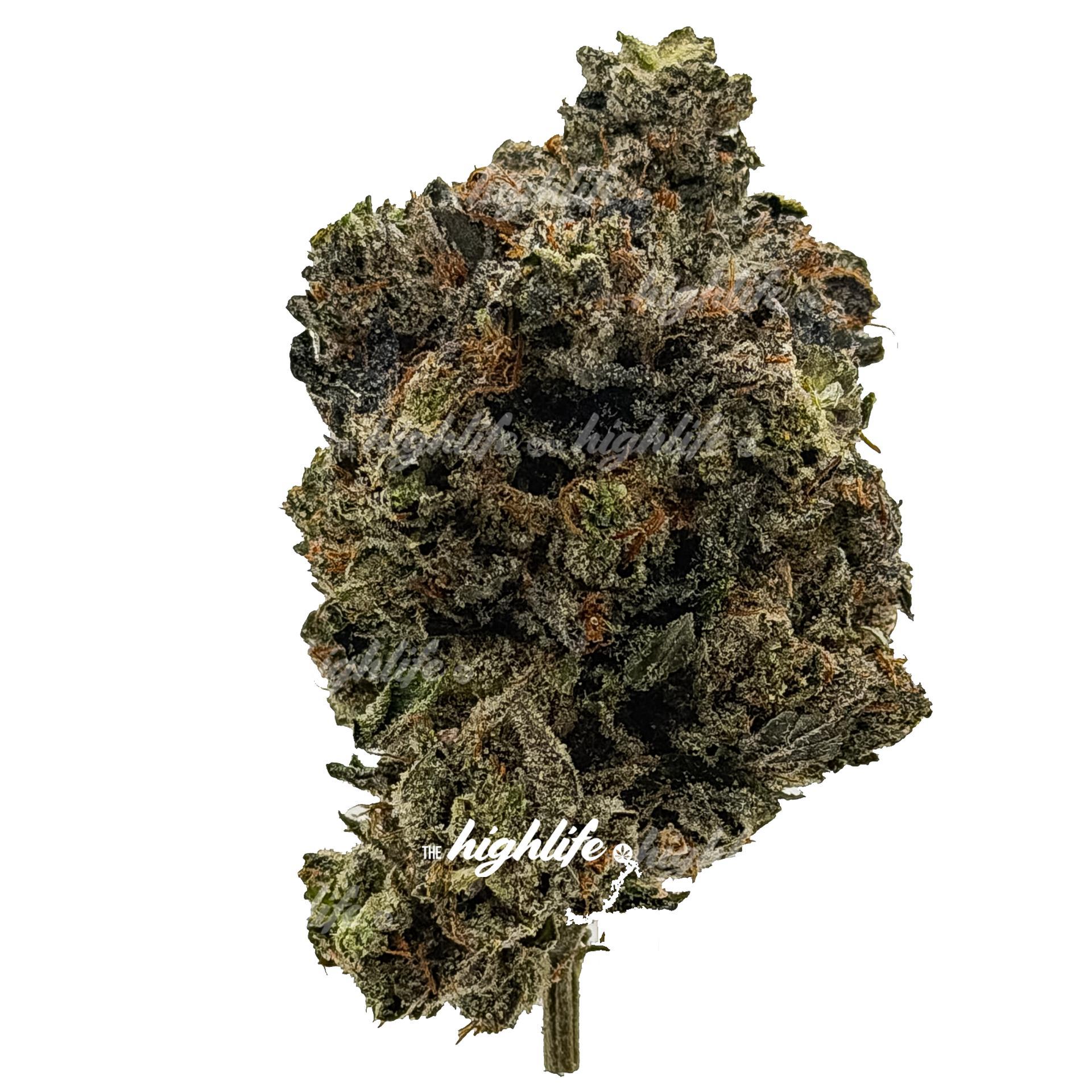 PINK PATRON PREMIUM INDICA